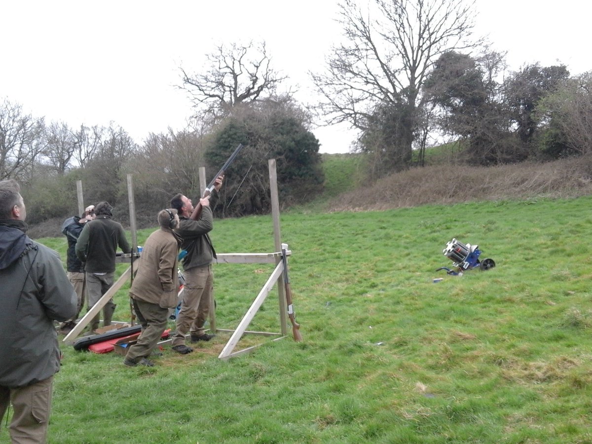 Mandarines tweet media