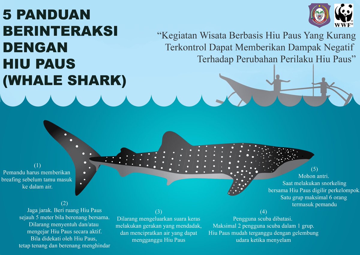 Hiu Paus di Gorontalo lagi happening nih. Ayo kita sebarkan panduan berinteraksi dengan Hiu Paus. Bantu retweet ya 😉