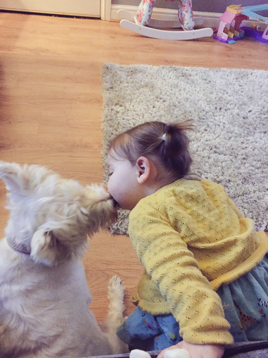 langmeadshell11's tweet photo. @itvthismorning my daughter willow and Molly the dog, BFFs, thick as thieves... So much love ❤️❤️ https://t.co/2b3wLVi19w