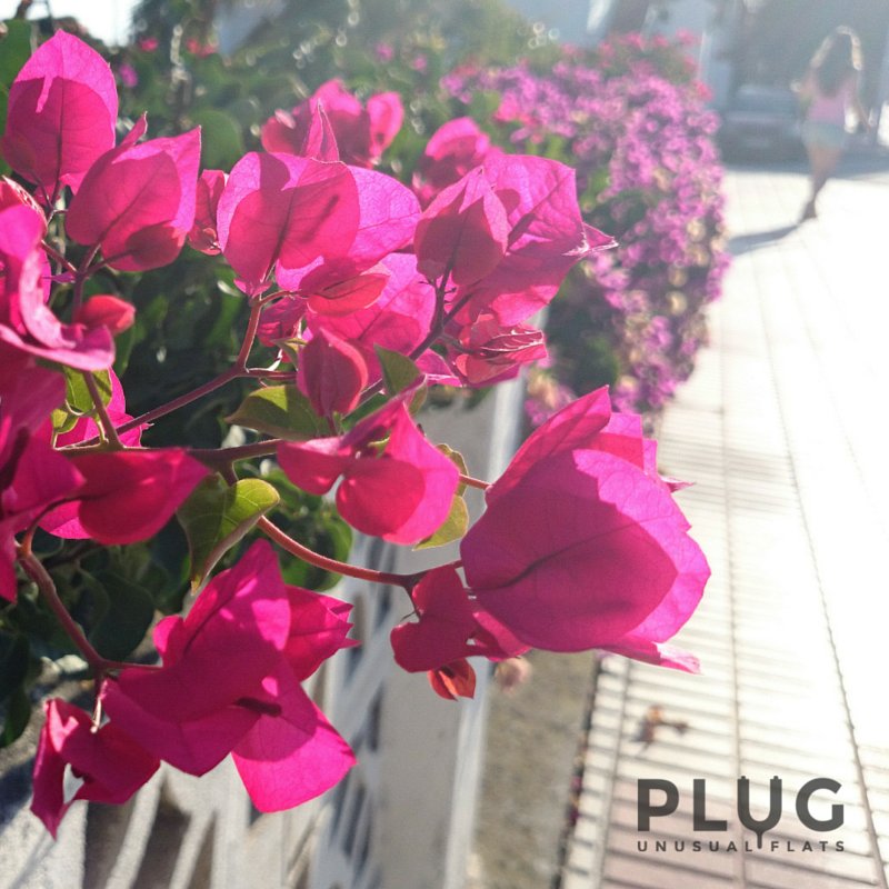PlugShoes's tweet photo. #Spring on the #street, #comeon!
#FelizJueves #sun #flowers #Happiness #enjoy #Plug_shoes #pluggers #fashion https://t.co/fQifAFt1gu