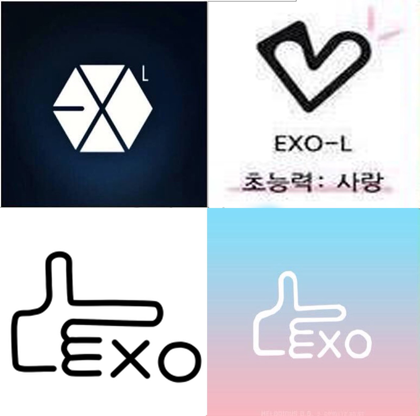exo logo 2016