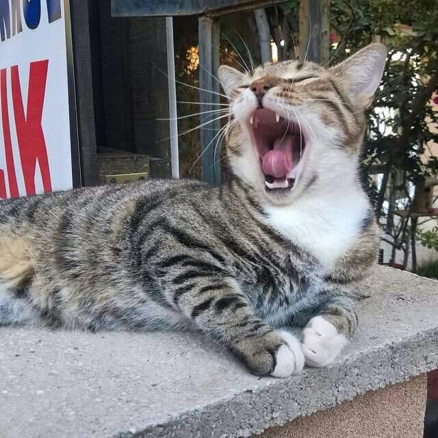 Şuan ki halim 😀😀😂😂😴😴 (@ Mir Plaza in Aksu, Antalya) swarmapp.com/c/bQzP9h0JqMy