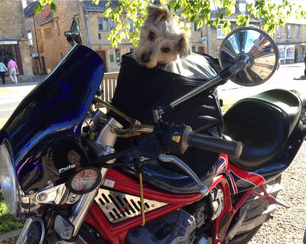 Richard Pinder tweet media