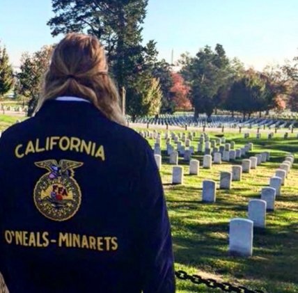 This is a really thoughtful post from <a href="/mwniehoff/">Michael Wolfgang Niehoff</a>: 

8 Lessons We Can All Learn From FFA bit.ly/1VAnF7i