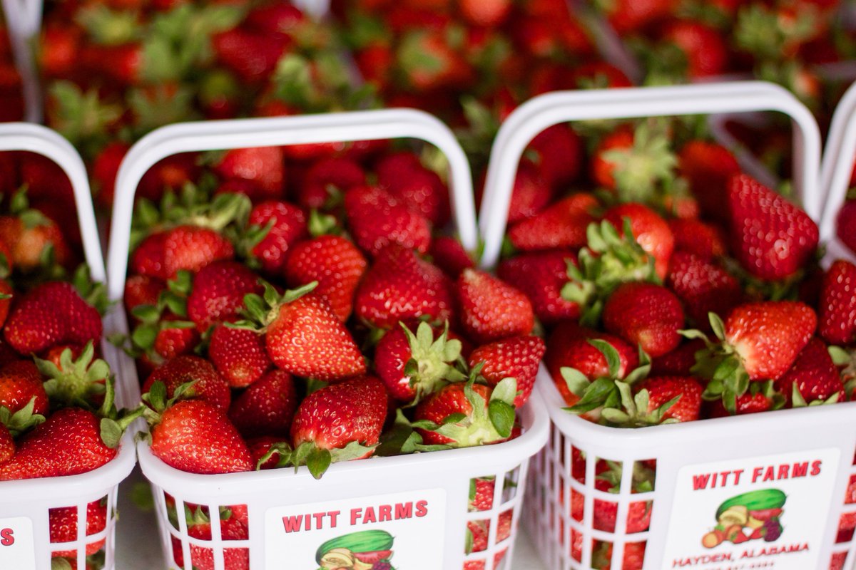 5-7 Tonight @RojoBirmingham and <a href="/ZYPBHM/">Zyp BikeShare</a>. Celebrate Zyp's launch of it's new station with AL Strawberry Lemonade!