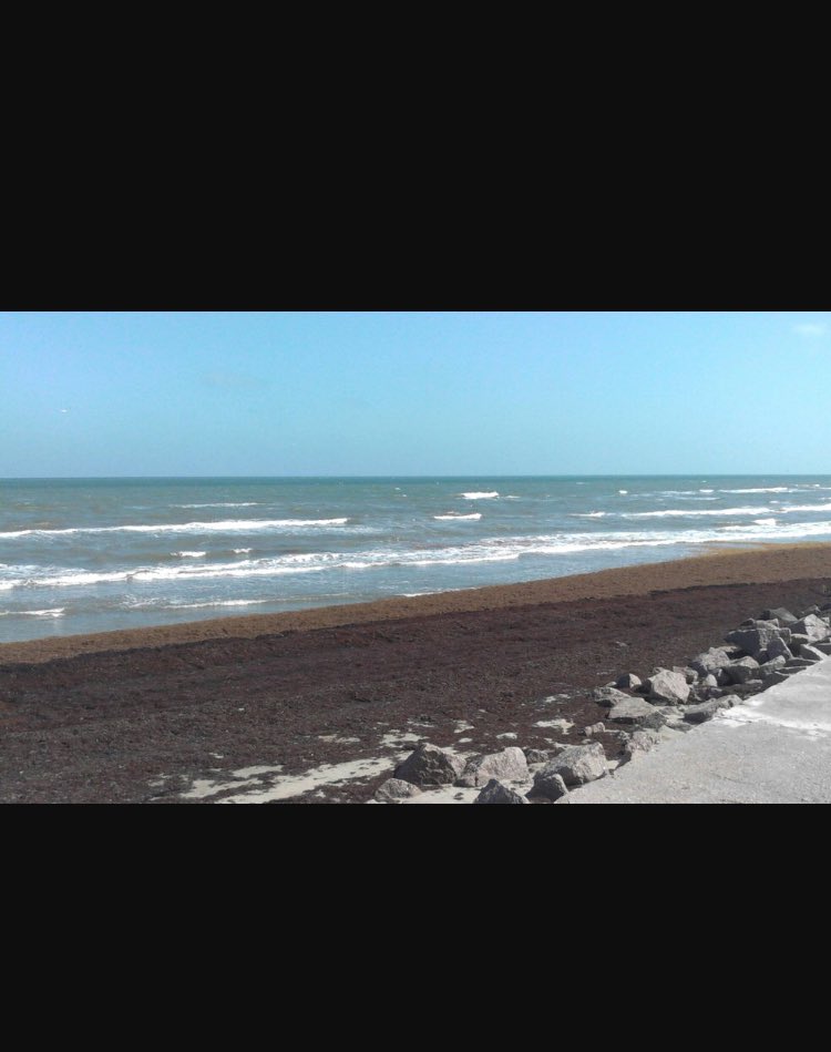 Jaihoops_'s tweet photo. Let me fix this for you @Moeedoeee Galveston, Tx 😷 https://t.co/heqegDaRTa
