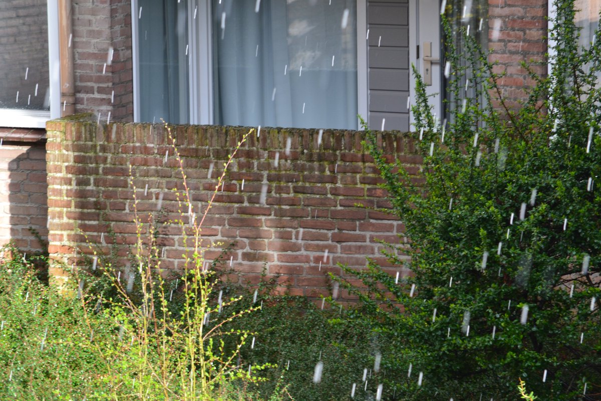 ecoplanningNL's tweet photo. flinke hagelbui in maastricht met twee keer flits en onweerklap https://t.co/7oJB7fitcF