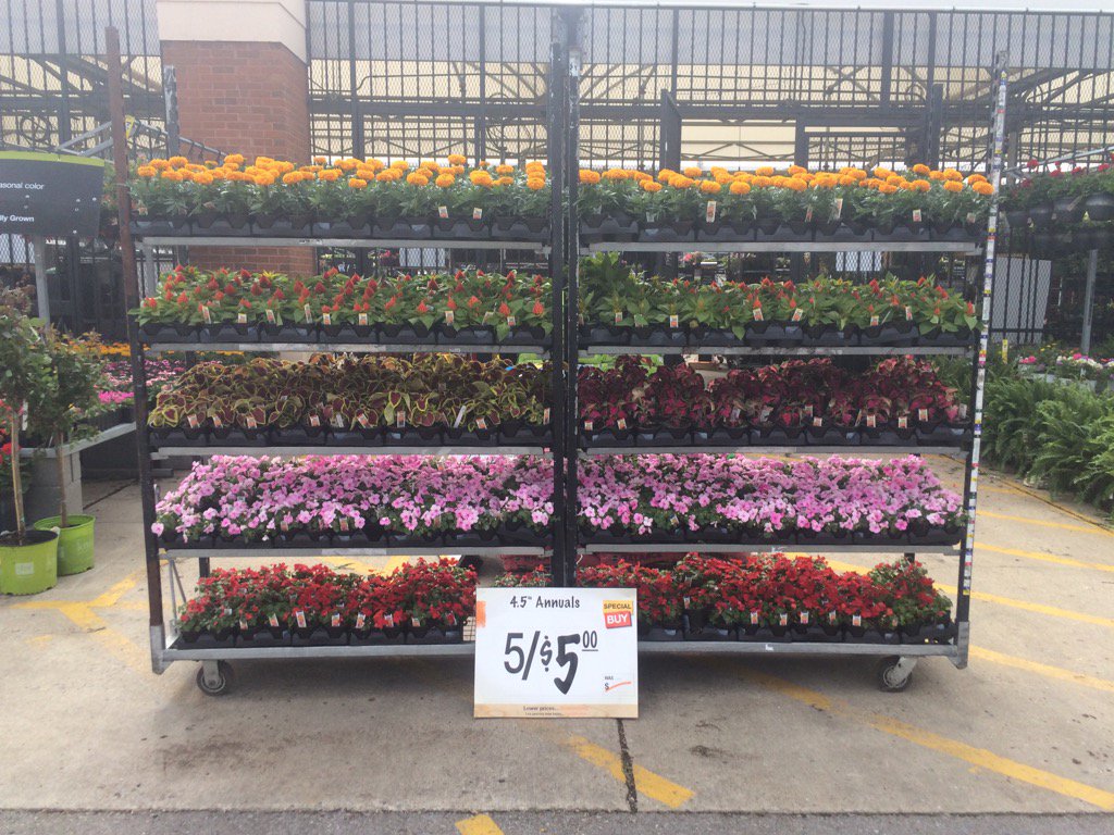 Great deals on pints!! <a href="/Jaydeckard/">Jay Deckard</a> @NickieWilhelm <a href="/LisaAdamsTHD/">Lisa</a> <a href="/Pat_Fischetti/">Patrick Fischetti</a>