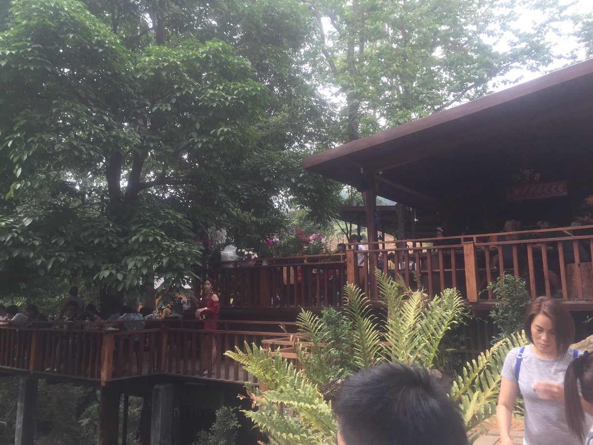 UKamdee's tweet photo. #pongyang jungle #แม่ริม #สนุกมาก #reviewchiangmai  😁😁😁 https://t.co/z7Q1v68tXs
