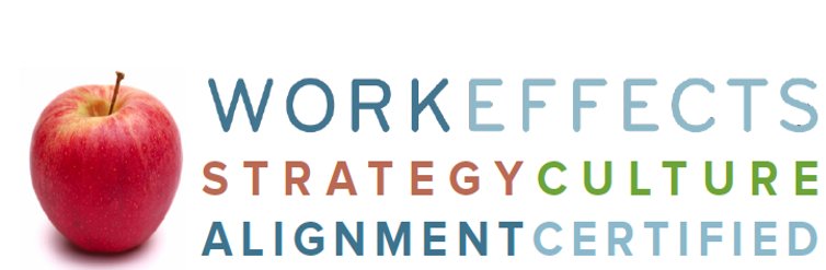 Work_Effects's tweet photo. Create lasting change by becoming certified in #StrategyCultureAlignment https://t.co/EZnBcAatsL #Consultants #OD https://t.co/puIR2mn03M