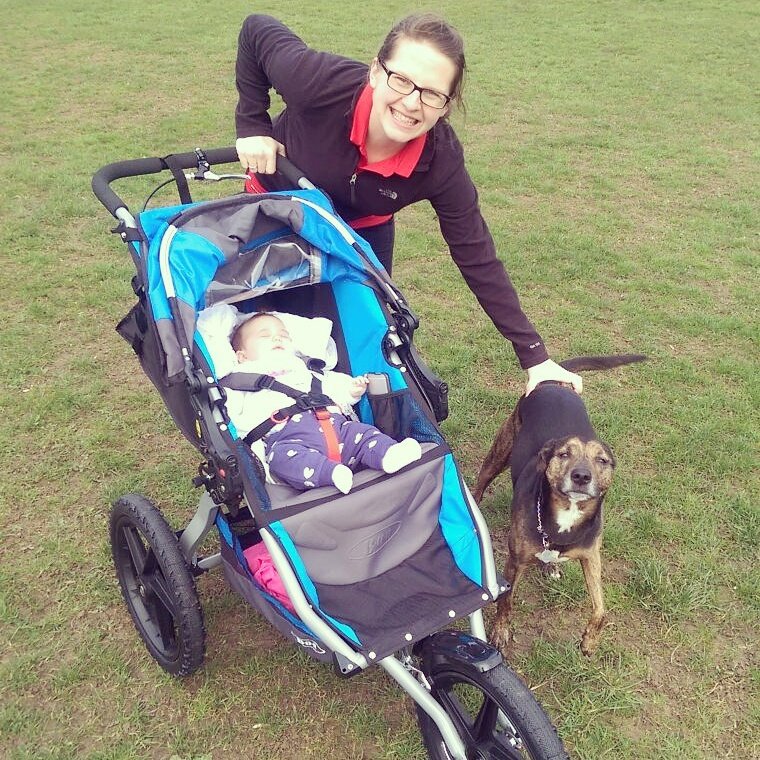 egradus's tweet image. There is no where we can&apos;t go #BobStroller