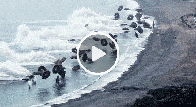tacticalclips's tweet photo. Click here -> https://t.co/Fv1VWQ1ERJ <- watch the video https://t.co/xz9DlOcZOC