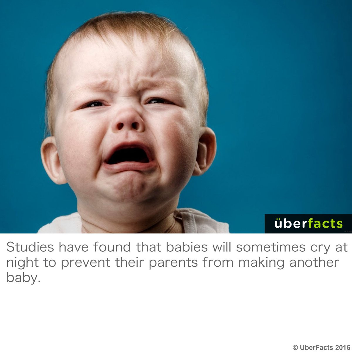 UberFacts's tweet photo. Interesting. https://t.co/Zi8V83kYNI