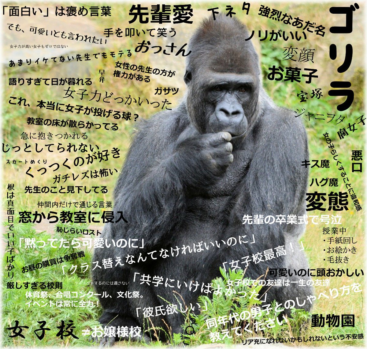 女子校あるある 共感したらrt 女子校あるあるをまとめてみた T Co Oxncxpeskw 女子校あるある 共感したらrt 女子校あるあるをまとめてみた T Co Oxncxpeskw