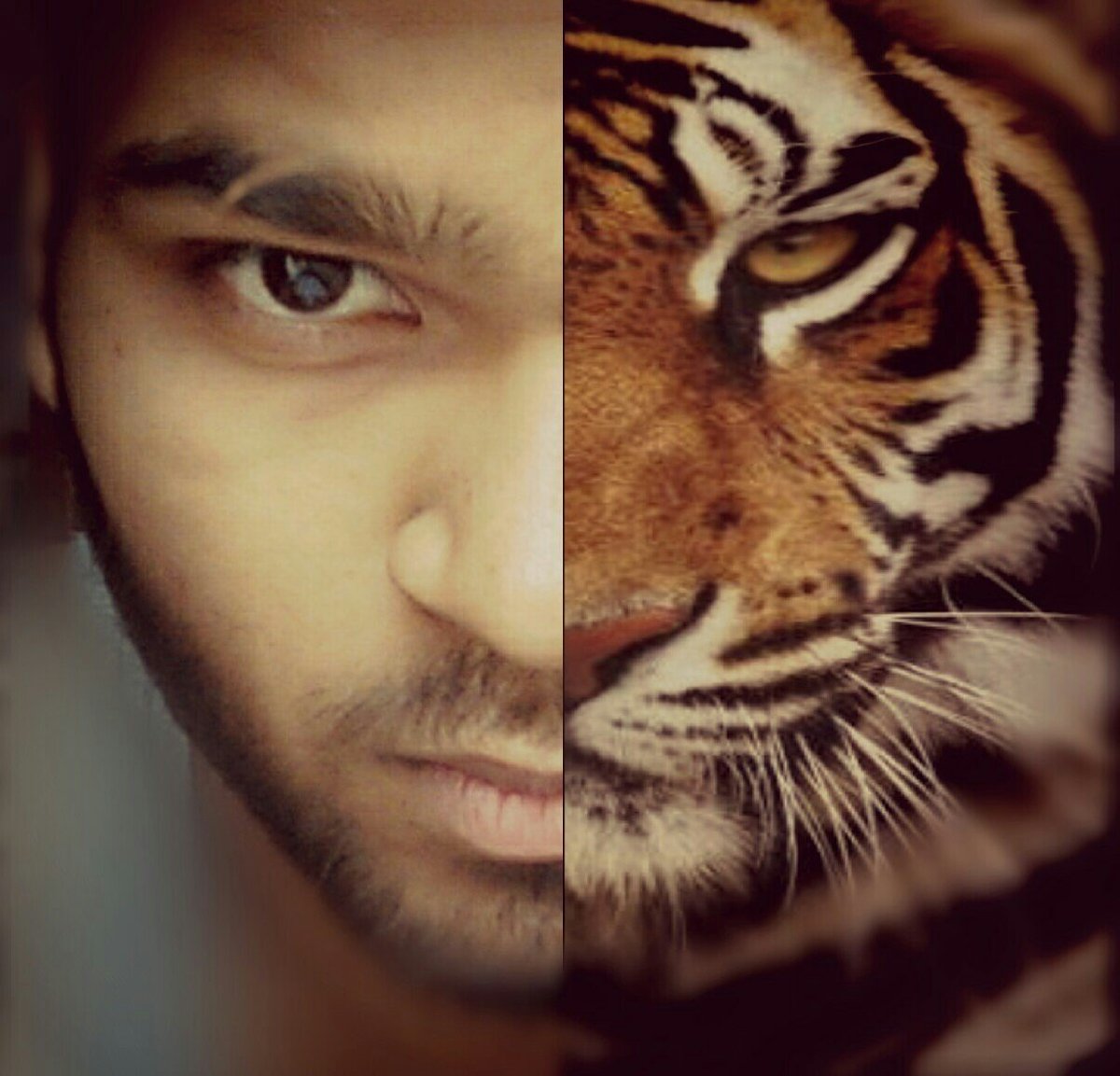 ravis8228 tweet picture