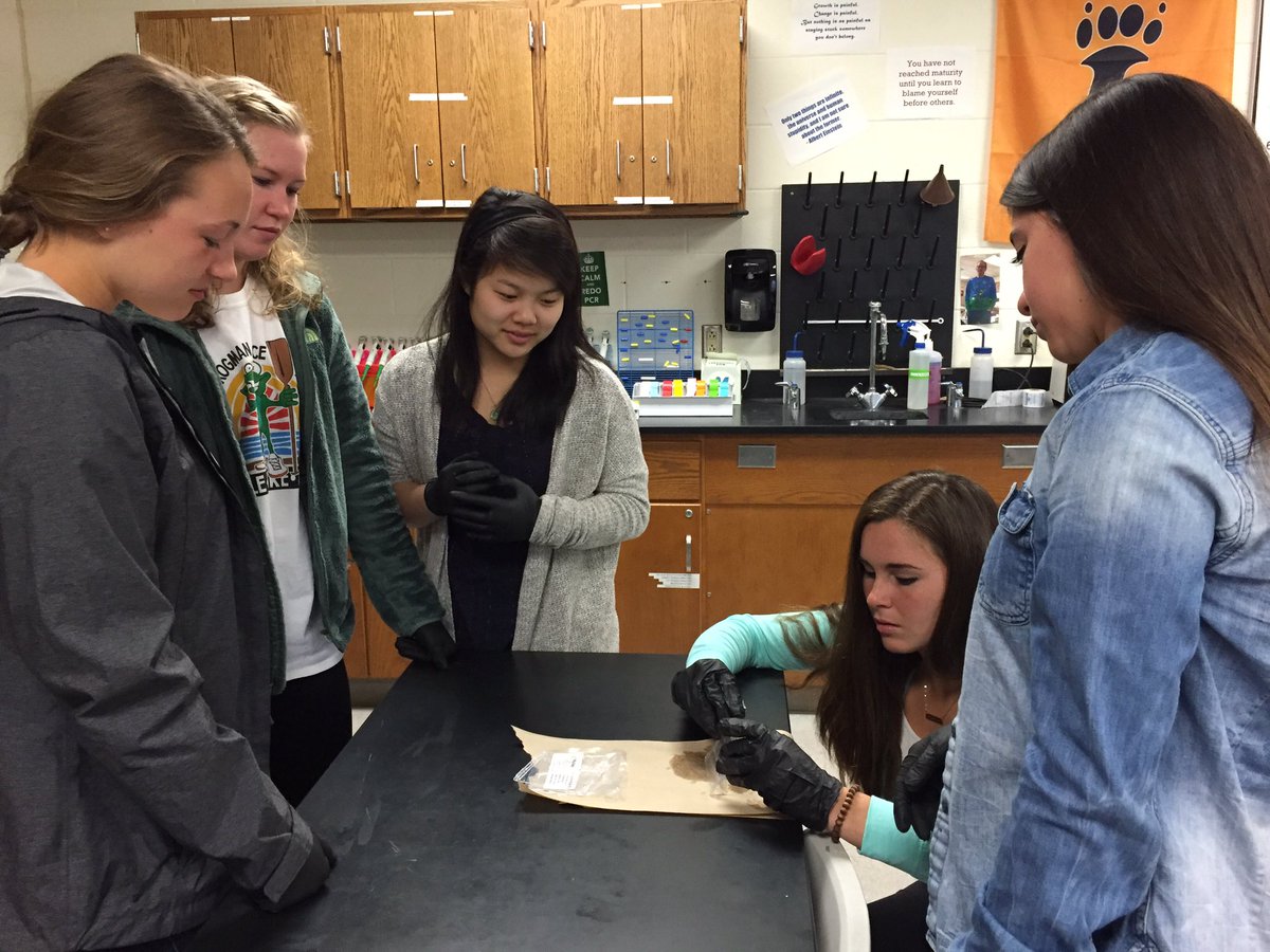 Loveland_HS's tweet photo. Scientists everywhere -Chem, Biotech, Biology! Experimenting with bear populations, gels, chemicals. #LHSClassroom https://t.co/INIkxSLOM8