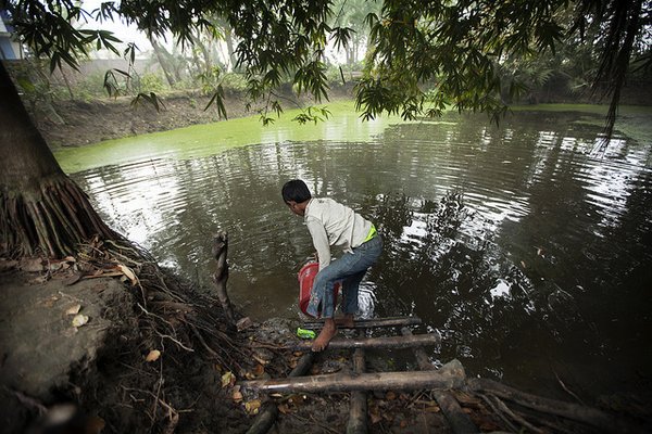 Can #agricultural research be more useful to #women, the poor &amp; marginalized? bit.ly/1V8hsQU @GFARforum