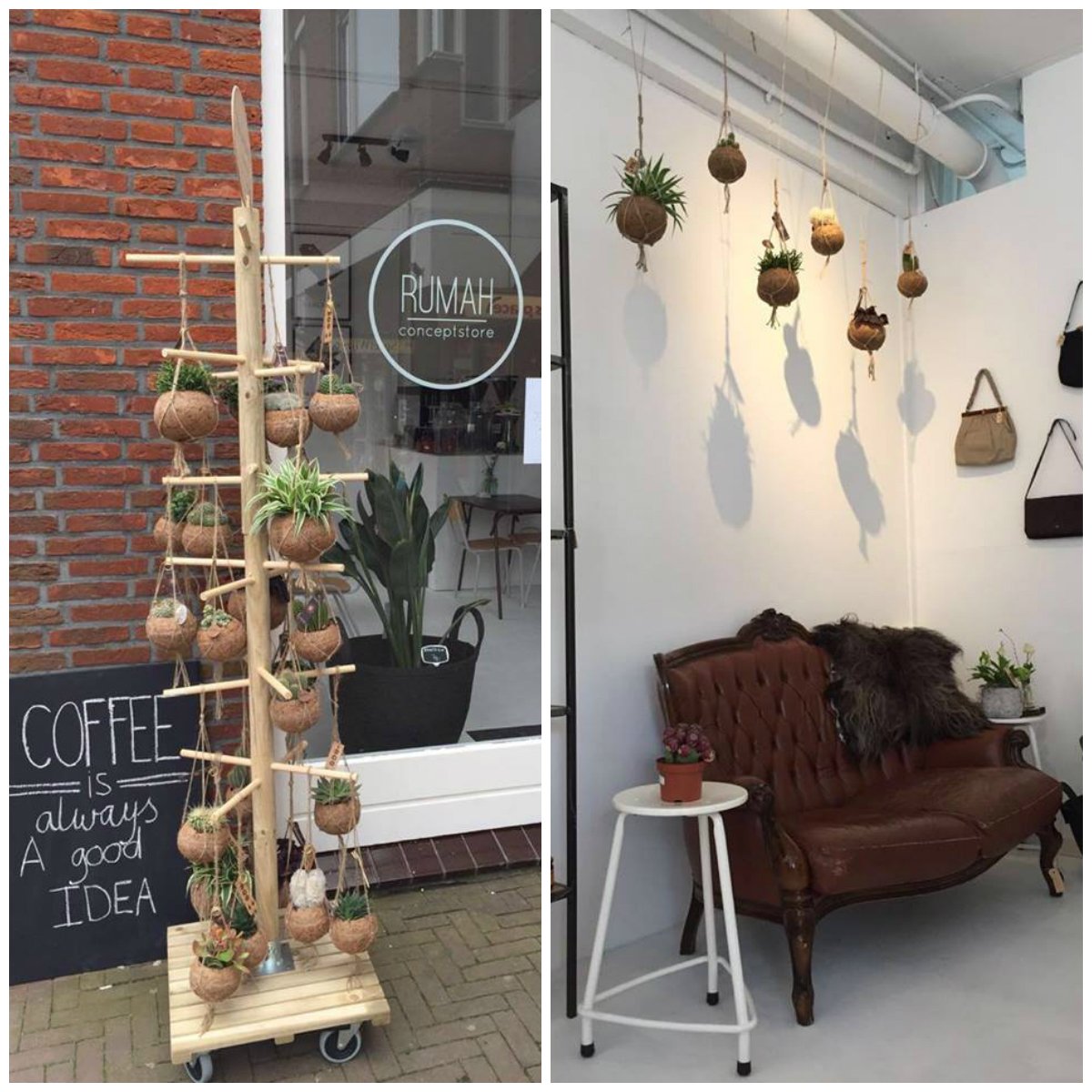 Afgelopen zaterdag is Rumah conceptstore geopend in Naaldwijk. Een fijne toevoeging mét Kokodama's! <a href="/dBestenstyling/">denBestenstyling</a>