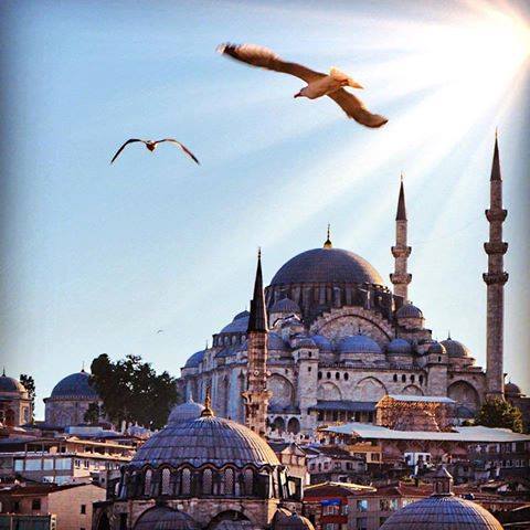 Sadece sabrın kadar güçlü, şükrün kadar olgunsundur bu hayatta.Ve dua'ların kadar değerlisindir Allah katında...