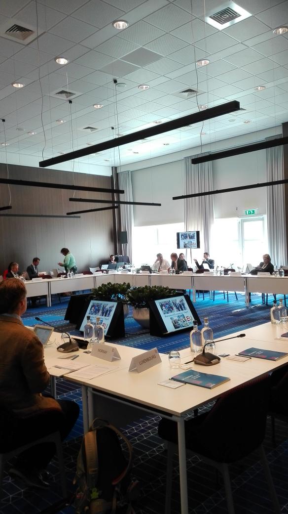 Colleague <a href="/erikjandewilde/">Erik Jan de Wilde</a> speaking at EU meeting of Directors General for Youth on young people and mental health