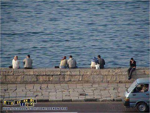 Ahmedabouelazz's tweet photo. ركز معاي من اليمين للشمال كده
سينجل ... مرتبط .... خاطب... متجوز https://t.co/s2s9UuWHgg