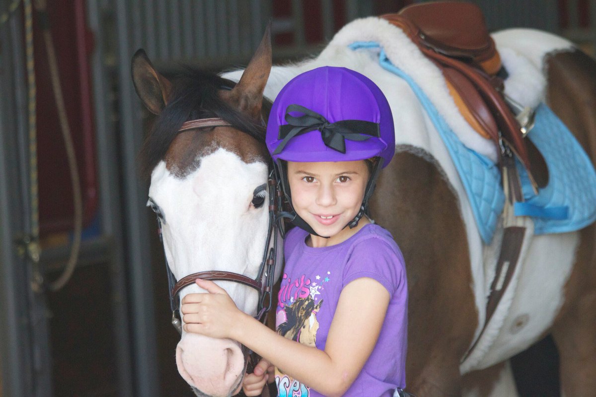Primarose7's tweet photo. My first pony Whoopie. She is up for sale. https://t.co/OLp43CD0dJ
