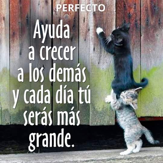 Tu crecimiento personal va en función del tiempo que se invierte en hacer que cada uno de tu equipo sea mejor a ti