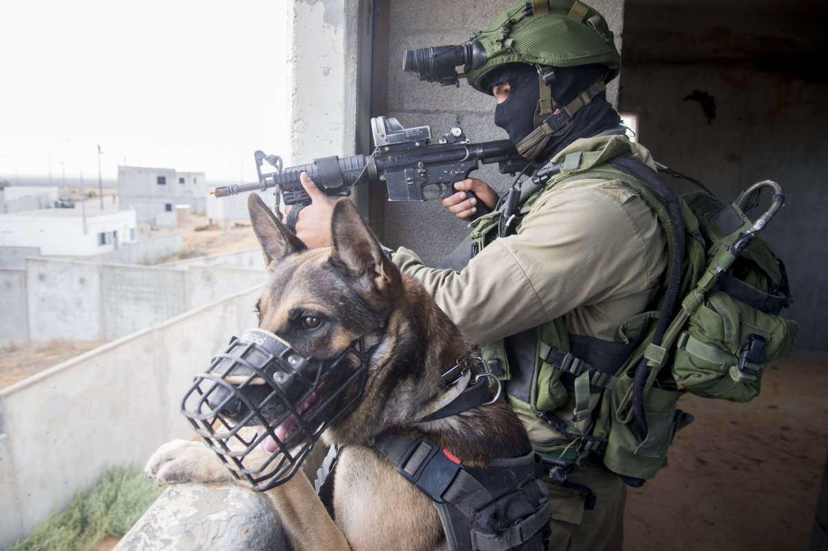 Who let the #dogs out? Oketz special forces soldier trains w/ his four-legged auxiliary for urban #warfare.