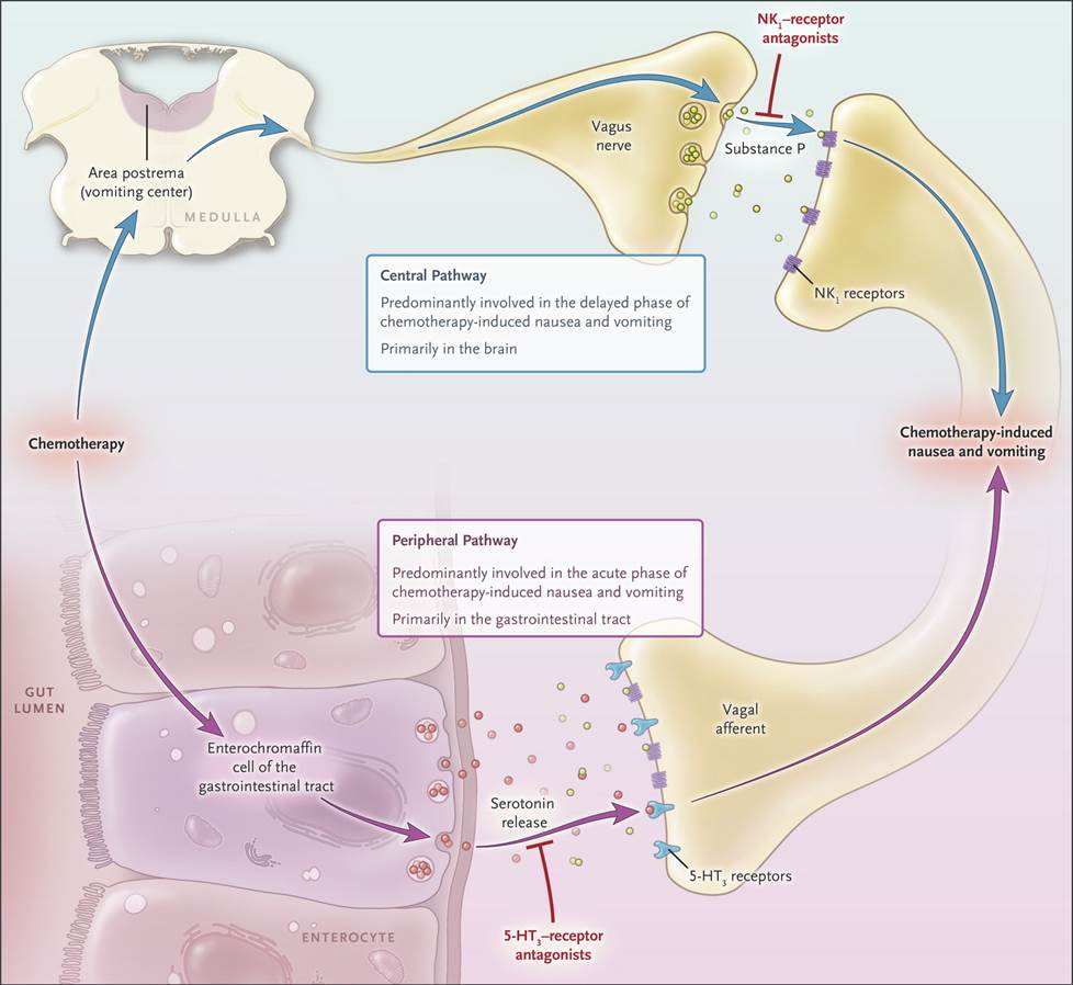 NEJM tweet media