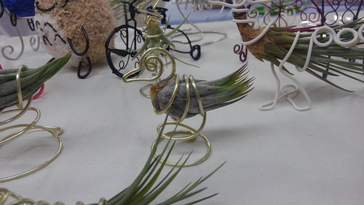 笹暮堂針金工房 エアプランツの形状からヒントを得て 即興のオブジェクト制作した時の 針金細工 ワイヤークラフト ワイヤーアート エアプランツ T Co Cbewgi2v8o