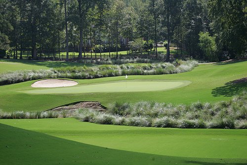 Georgia State Golf Association tweet media