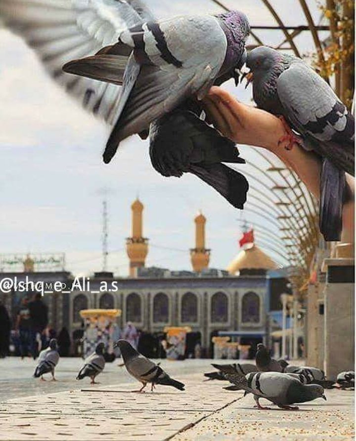 مسكين في زمن الوحوش tweet media