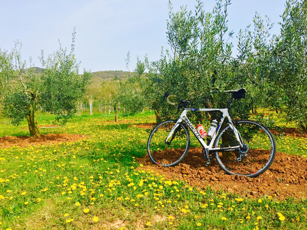 enricoska's tweet photo. #pinarello + #carso = stupenda natura meccanica @senzabici @Pinarello_com https://t.co/C1HUuzBUFe