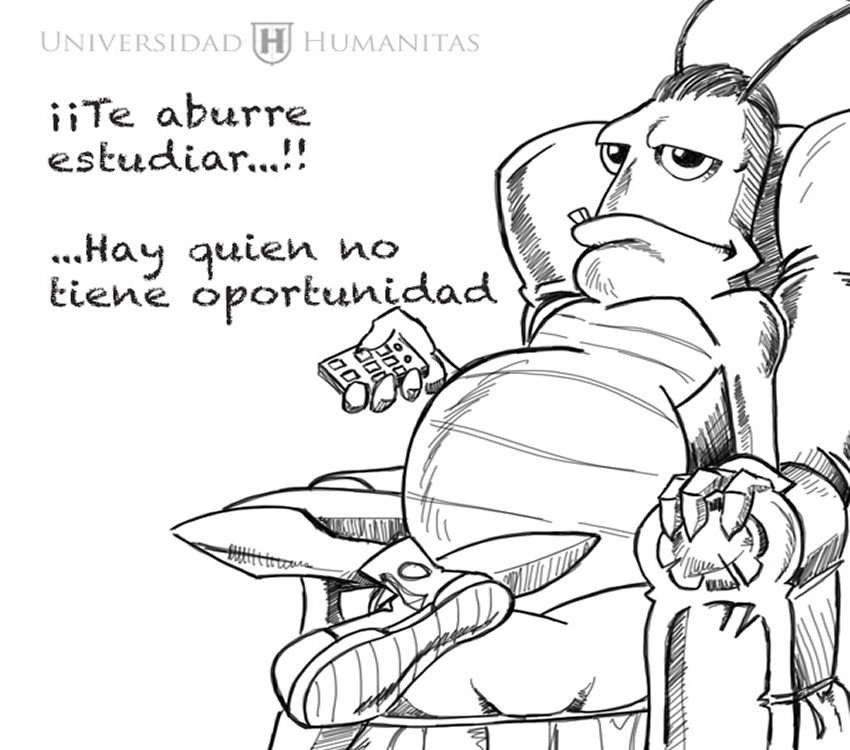 UHumanitas's tweet photo. El que no quiso cuando pudo, no podrá cuando quiera... Atte. La Oportunidad https://t.co/yBWXMcNCTx https://t.co/J97TlTUXnE