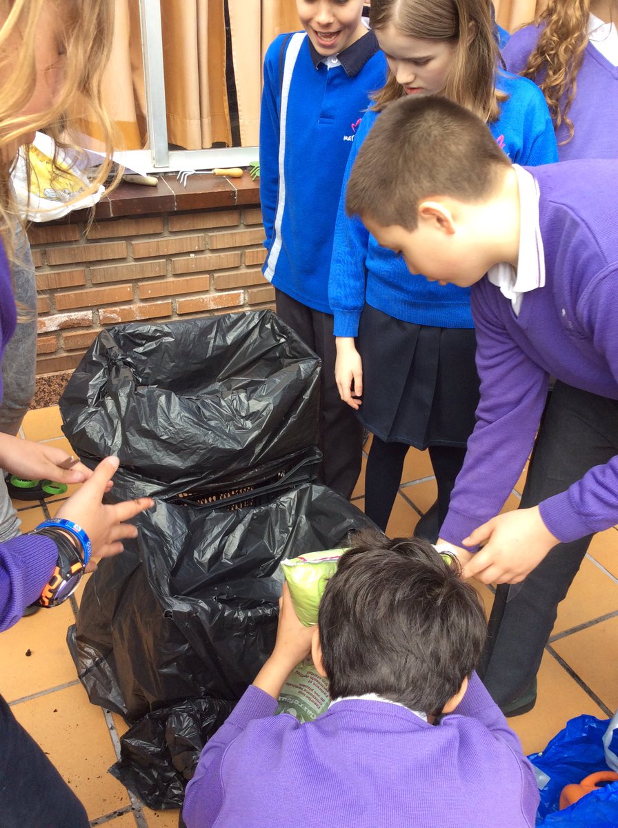 2ESOAUSEVA's tweet photo. Segunda tanda con los grupos B de 5º,6º y 2ºESO #compostelaenruta @3cicloauseva #HuertoAuseva #ABPAuseva https://t.co/Gozzlcpm2C
