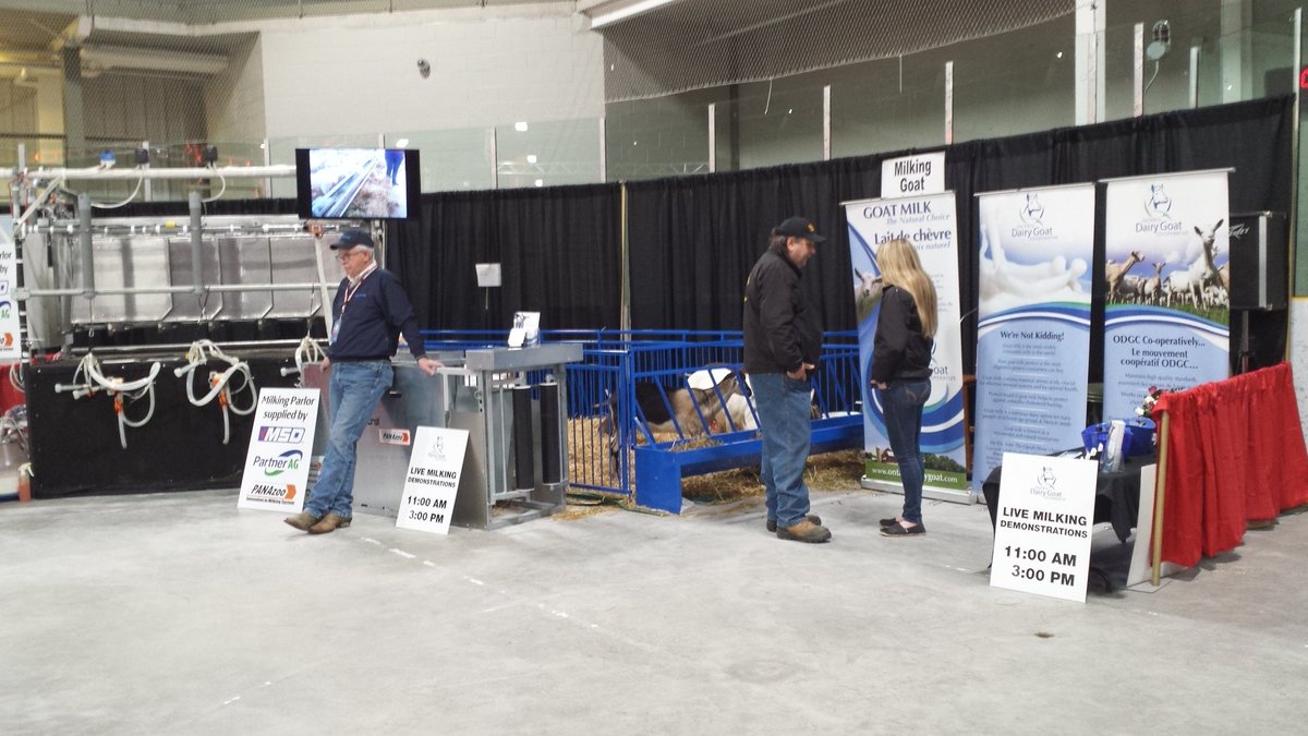 ONDairyGoatCoop's tweet photo. Visit the ODGC booth today at 11 and 3 to see the goat's milked. https://t.co/htLdhDioKB