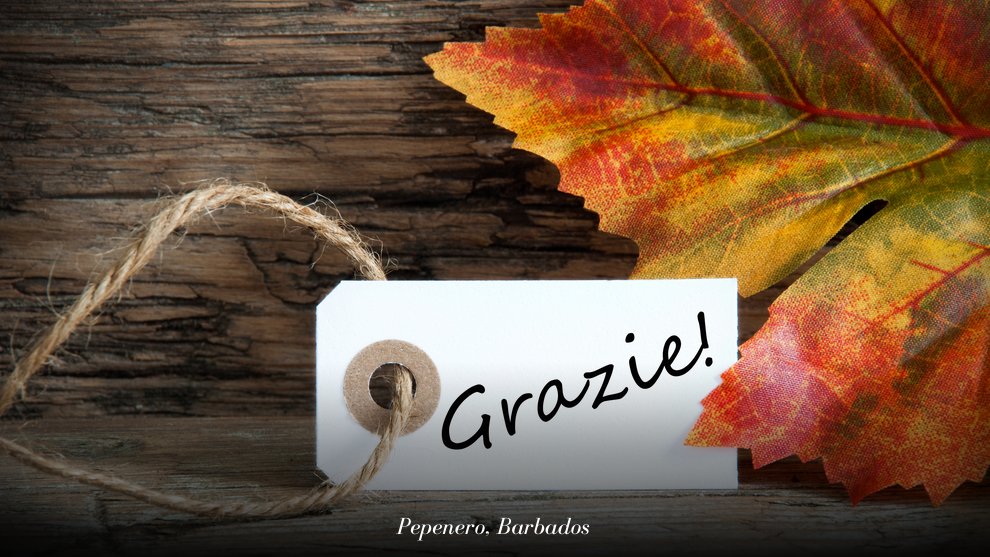 PepeneroBB's tweet photo. Today we are grateful. 1000 #thankyous for all of your continued support. #Italianlove

https://t.co/PPmN371M5E https://t.co/FmRZvQUHQL