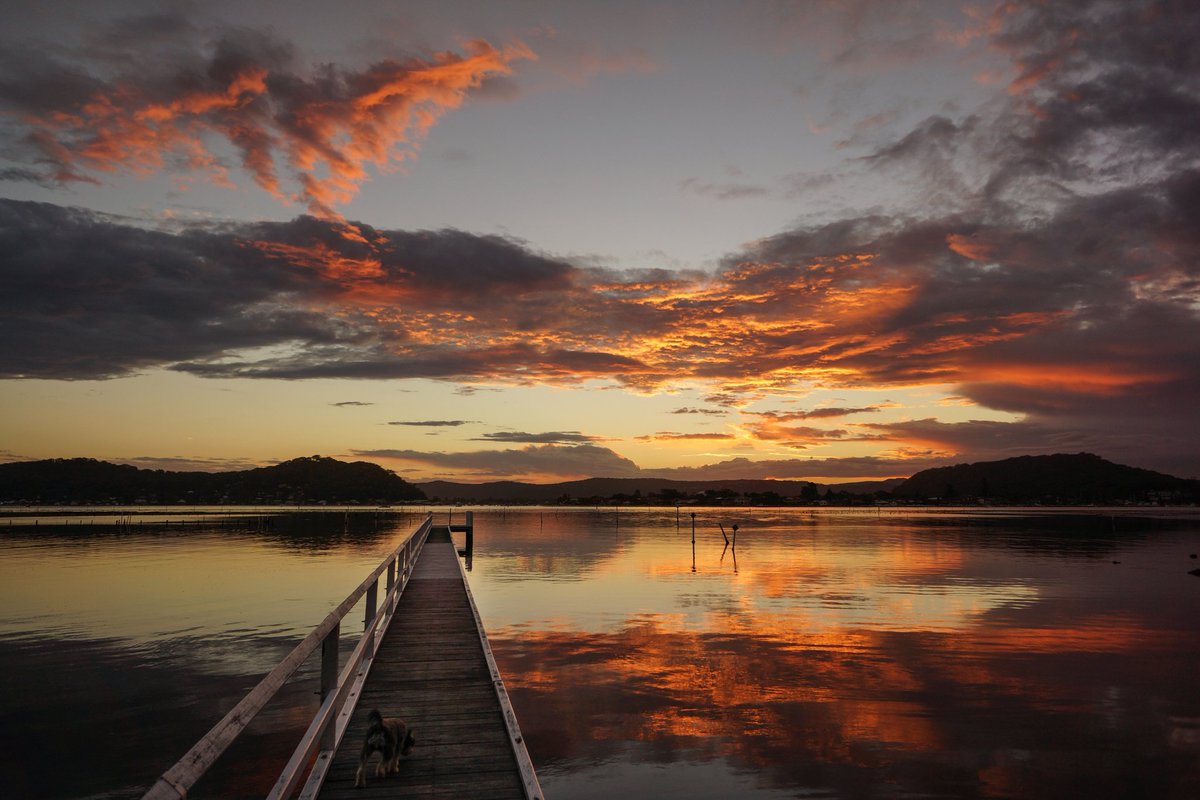 multiverses1's tweet photo. Jetty Sunset III by Oscar Parker

https://t.co/TVZZ6inrrP https://t.co/JlGn9QqVyU