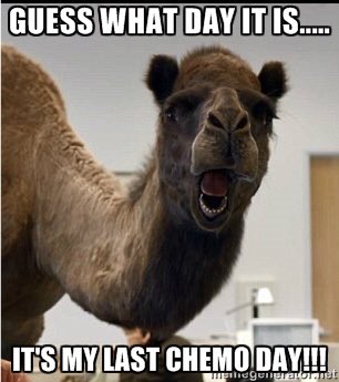 westernstargal's tweet photo. For my Carl❤️ #kickingcancersbutt #endcancer #Cancersucks https://t.co/8x1TmqnaU5