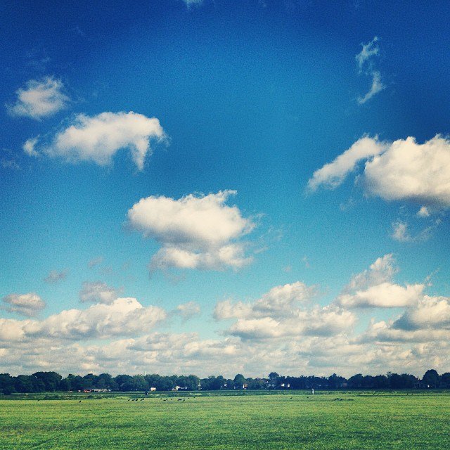 Tell Redbridge if you value Wanstead's open spaces. Also suggest improvements. Survey here: goo.gl/ev6Wao