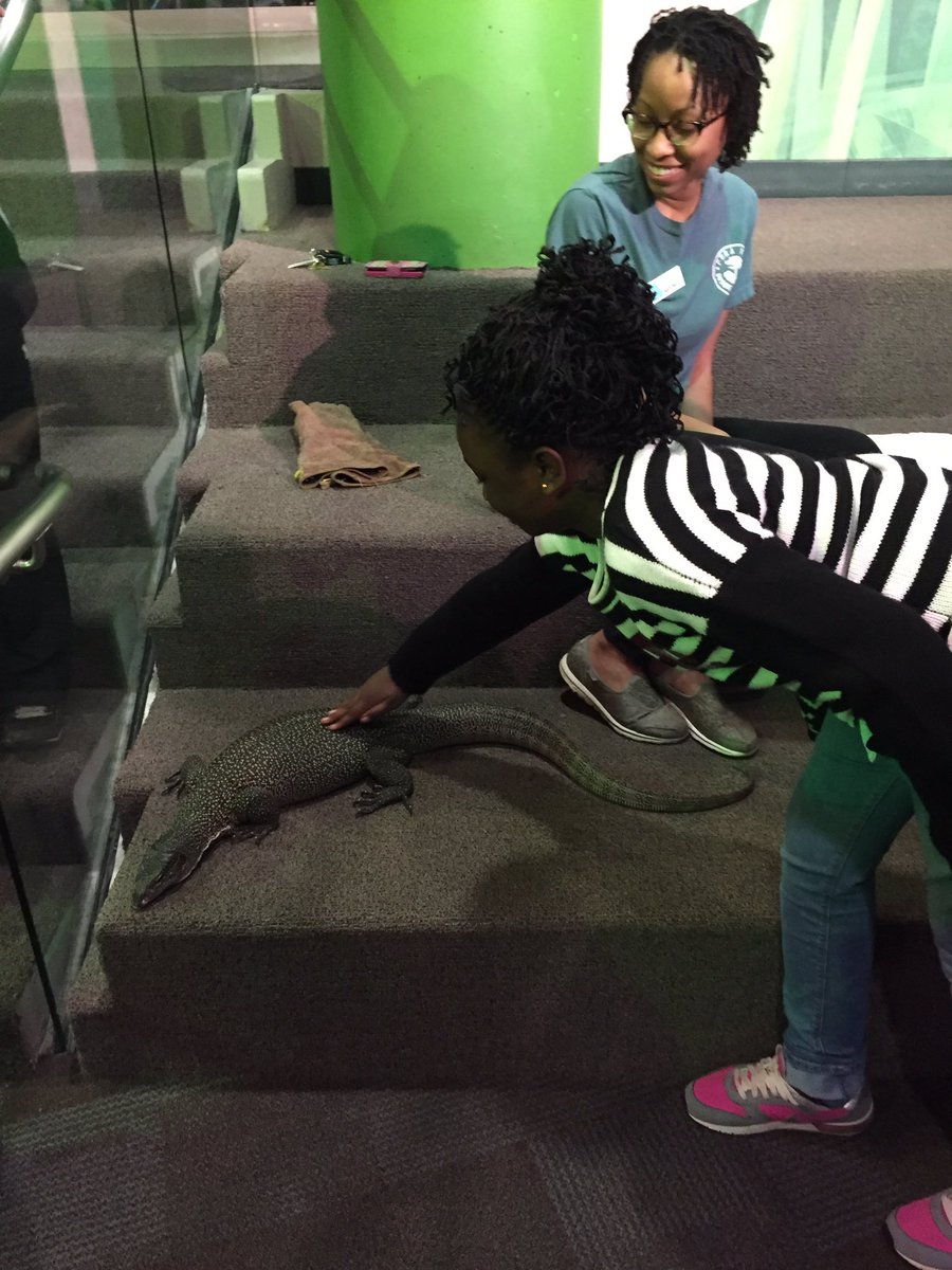 jthomas13085's tweet photo. Petting a mangrove monitor-whoa! @pvespride https://t.co/T96yj1GUs4