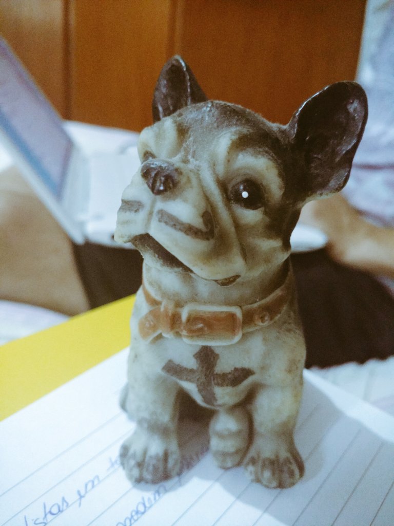 ygor_mattos's tweet photo. #DogsCrew na área https://t.co/obUUpCEkEh