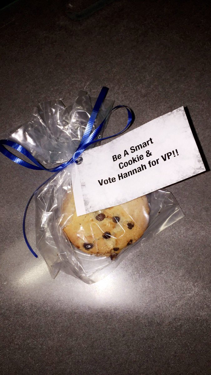 HannahdawnforVP's tweet photo. Passing out some treats today!! Come see me and be sure to spread the word!❤️💙 #HD4VP https://t.co/EpIal0U1tx