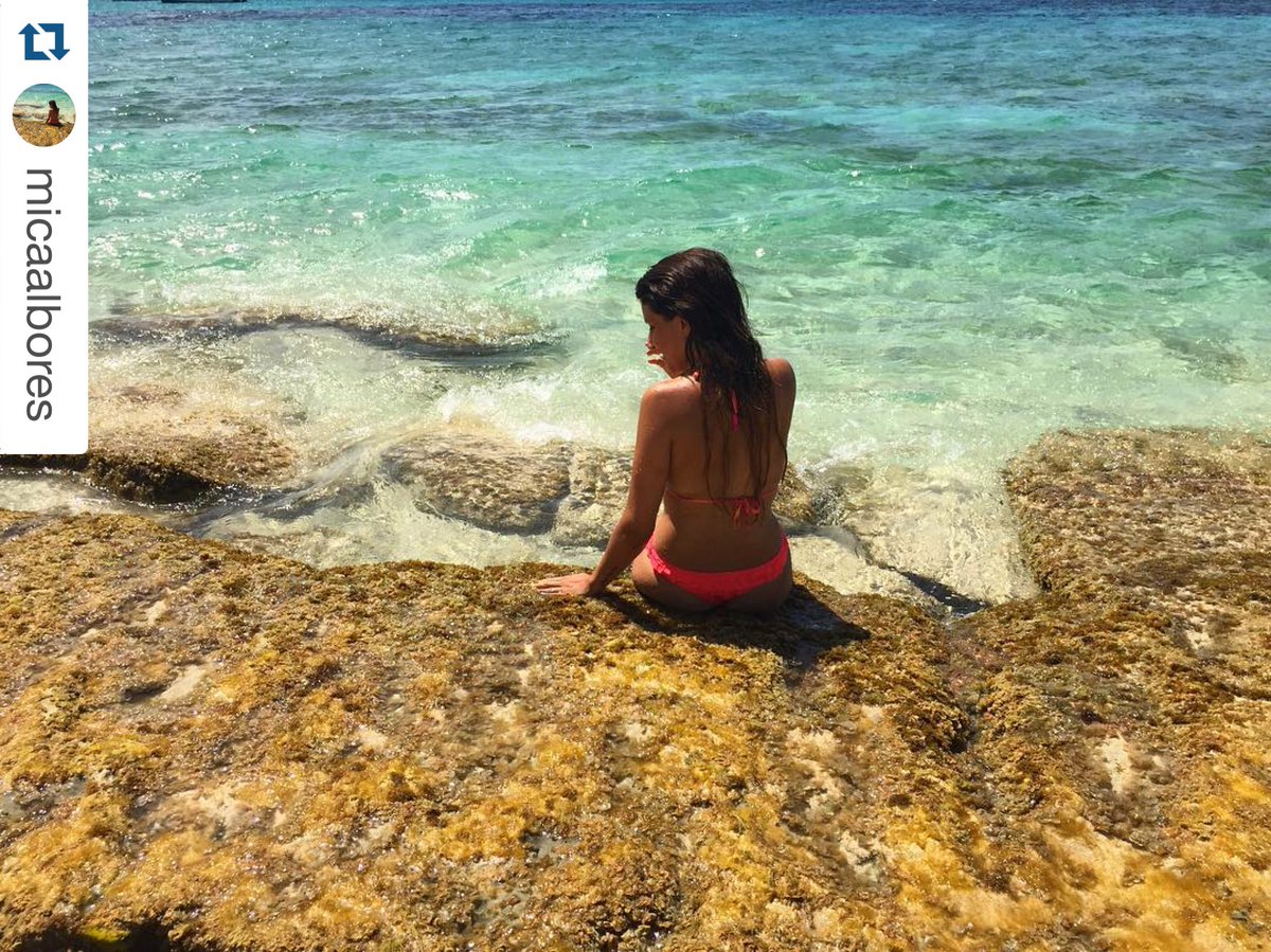 BeachUpRD's tweet photo. Te entendemos, ¡es un paraíso! #Repost @micaalbores Me quedo a vivir! #IslaCatalina
#BeachUpRD #PlayasRD #DRBeaches https://t.co/lAICcLDTVB