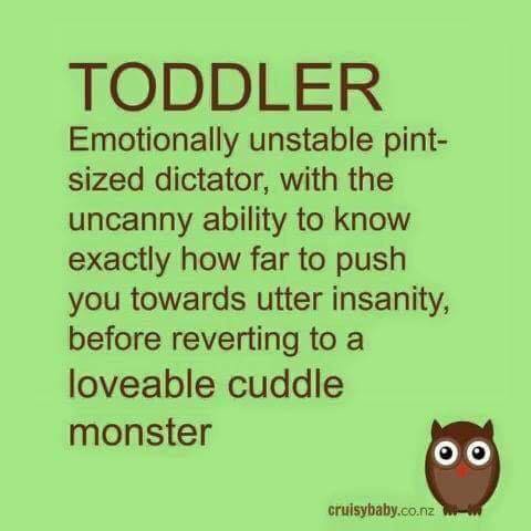 PartyHartbeeps's tweet photo. Love this #toddlerlife #children #truth https://t.co/oYtU6ENEX5