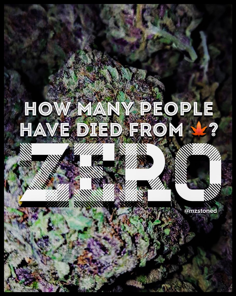 mzstoned's tweet photo. How many people have died from 🍁? 

👌🏾ZERO👌🏾
#legalizemarijuana https://t.co/qJSiMz77iF