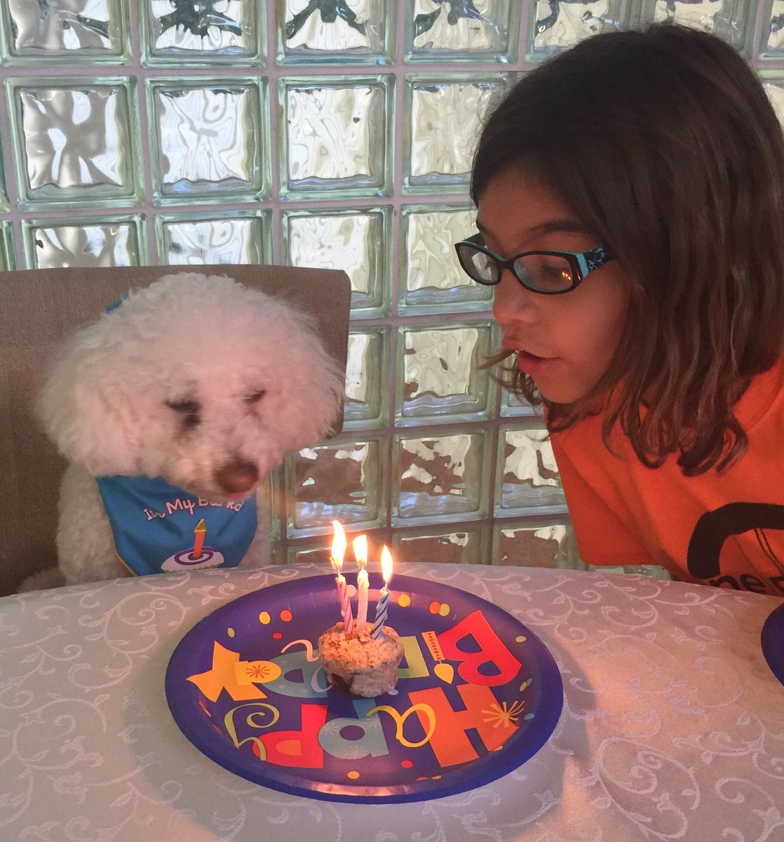 Dogs4FL27's tweet photo. #HappyBirthday to our mom @Annette_Taddeo #FL26 🎂 https://t.co/3nIqlThfi4