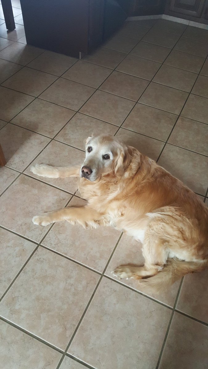 KellyArchieDev's tweet image. @techcredo that&apos;s my guy