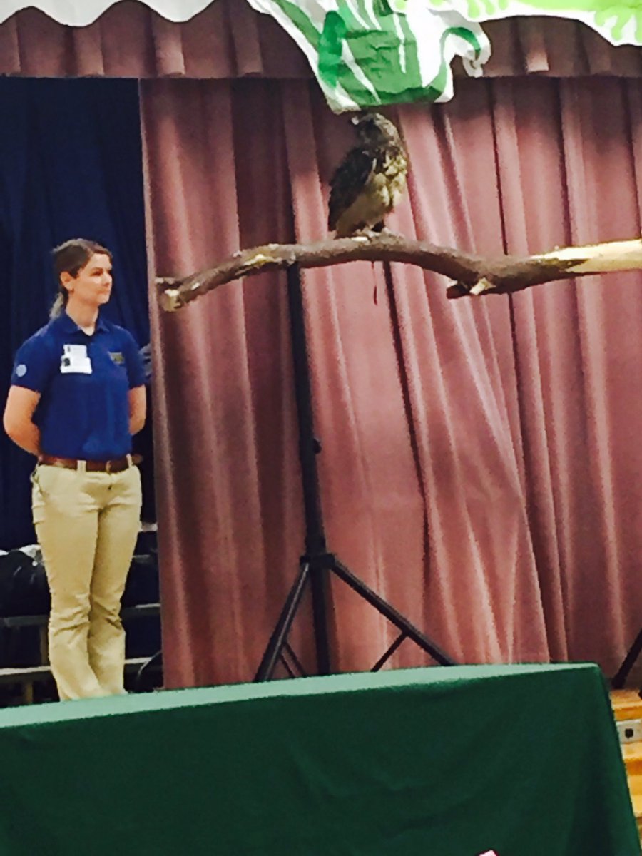 MsAlanizBCE's tweet photo. Wonderful presentation from zoologists @DallasZoo! Thank you for sharing your passion, Animal preservation💛 #we💘owls https://t.co/Jdb4MZBO4h