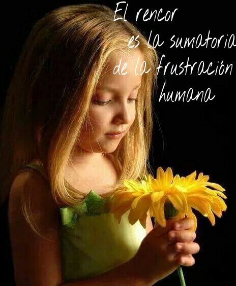 ➿Clau😊dia❤️ tweet media